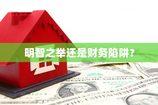 冕宁明智之举还是财务陷阱？