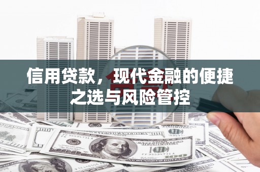 苓雅信用贷款，现代金融的便捷之选与风险管控