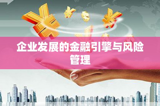 溆浦企业发展的金融引擎与风险管理