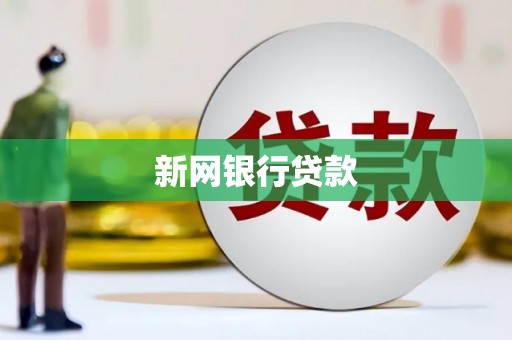 林芝新网银行贷款