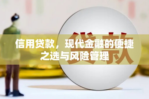 黔东南信用贷款，现代金融的便捷之选与风险管理
