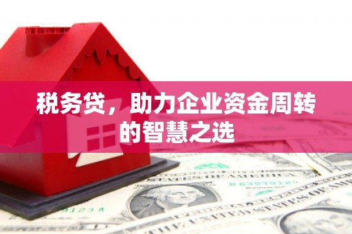 澜沧税务贷，助力企业资金周转的智慧之选