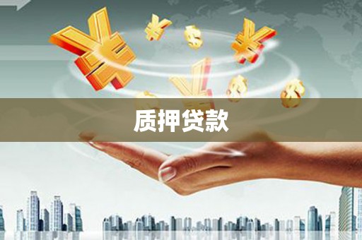 太和质押贷款