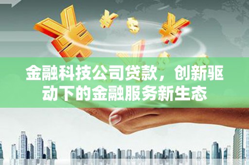 临渭金融科技公司贷款，创新驱动下的金融服务新生态