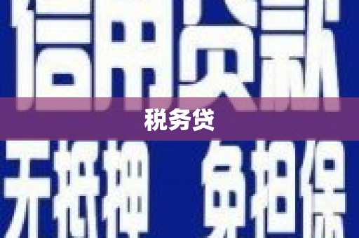 长岛税务贷