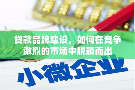 阜沙贷款品牌建设，如何在竞争激烈的市场中脱颖而出