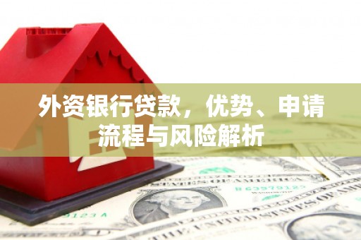 贵定外资银行贷款，优势、申请流程与风险解析