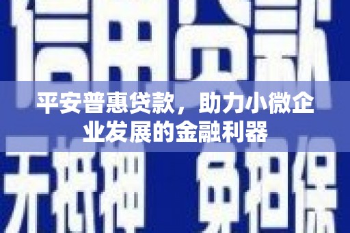 嘉禾平安普惠贷款，助力小微企业发展的金融利器