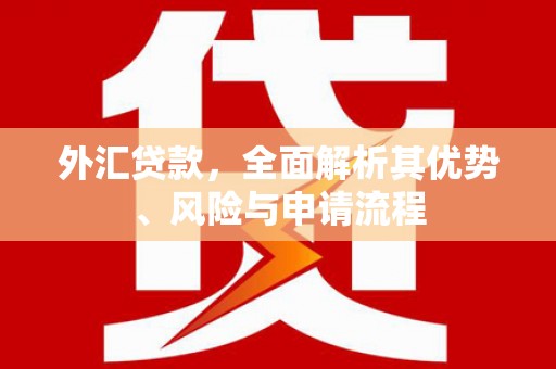 五华外汇贷款，全面解析其优势、风险与申请流程