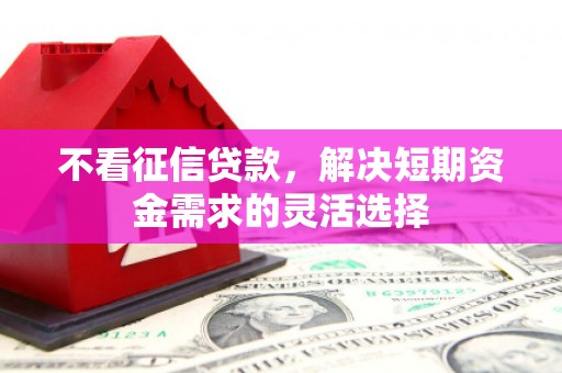 昭苏不看征信贷款，解决短期资金需求的灵活选择