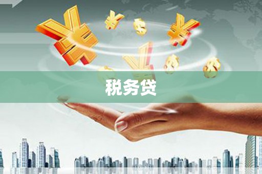 郴州税务贷