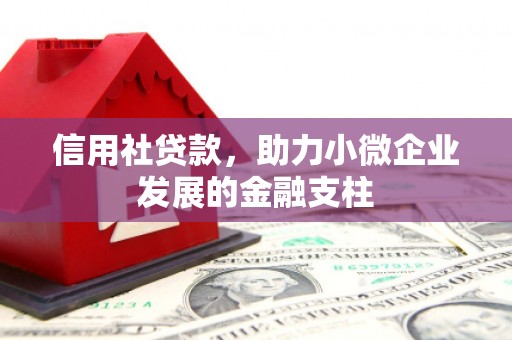 阿莲信用社贷款，助力小微企业发展的金融支柱