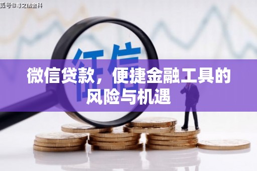 南州微信贷款，便捷金融工具的风险与机遇