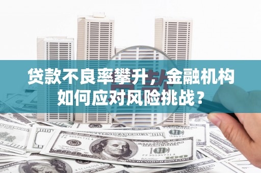 长洲贷款不良率攀升，金融机构如何应对风险挑战？