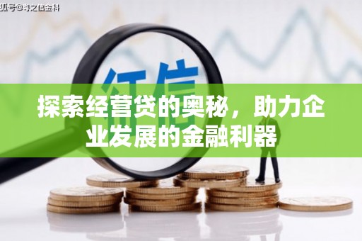 舞阳探索经营贷的奥秘，助力企业发展的金融利器