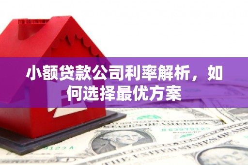 山西小额贷款公司利率解析，如何选择最优方案