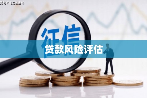狮子山贷款风险评估