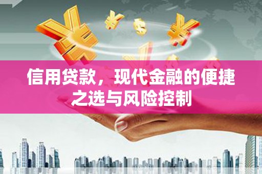 通山信用贷款，现代金融的便捷之选与风险控制