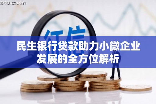 苍溪民生银行贷款助力小微企业发展的全方位解析