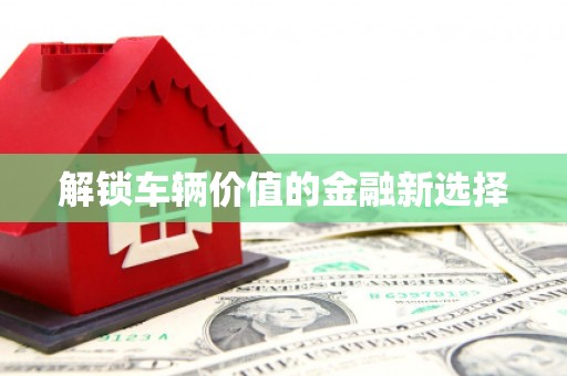 通山解锁车辆价值的金融新选择