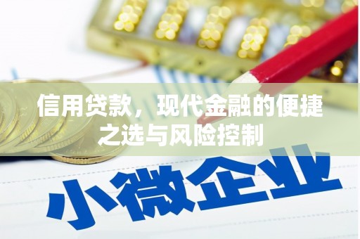 宜章信用贷款，现代金融的便捷之选与风险控制