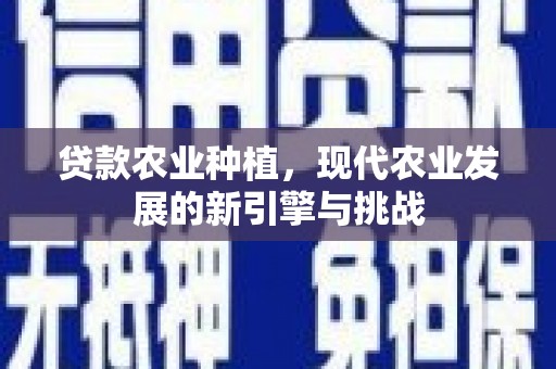 尚义贷款农业种植，现代农业发展的新引擎与挑战