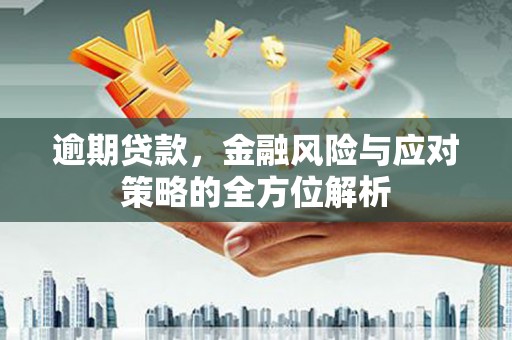 丰原逾期贷款，金融风险与应对策略的全方位解析
