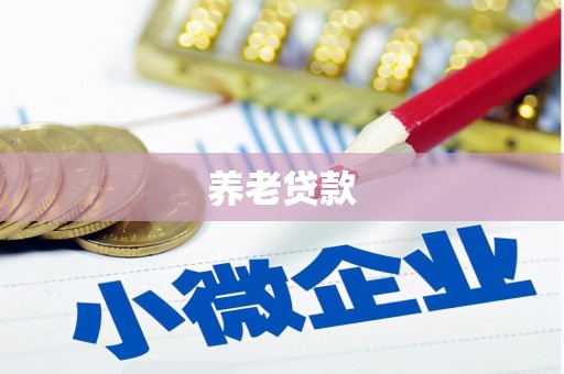 左云养老贷款