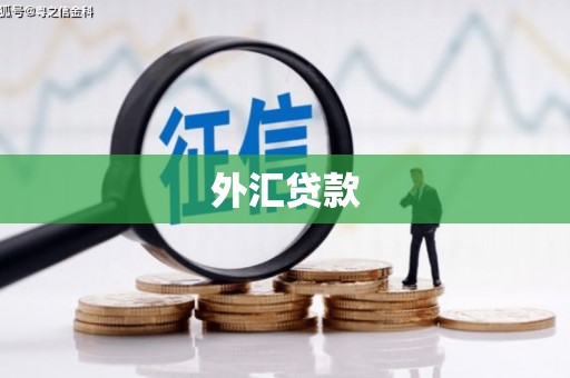 甘南外汇贷款