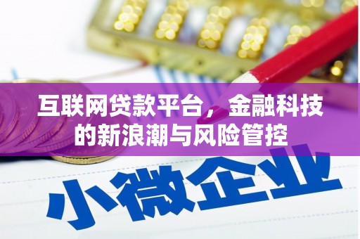 文县互联网贷款平台，金融科技的新浪潮与风险管控