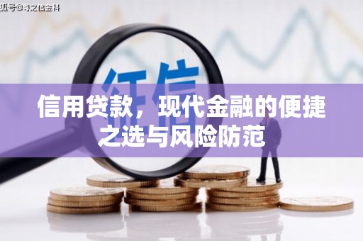 成武信用贷款，现代金融的便捷之选与风险防范