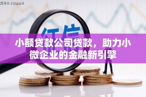 芙蓉小额贷款公司贷款，助力小微企业的金融新引擎
