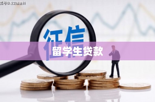 莎车留学生贷款