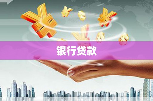 盐源银行贷款