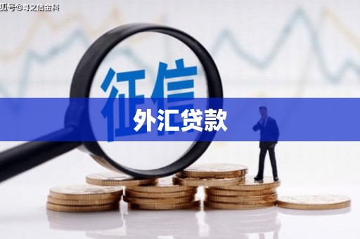 沿滩外汇贷款