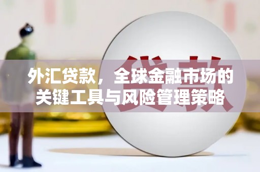 伊宁外汇贷款，全球金融市场的关键工具与风险管理策略