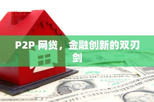 双清P2P 网贷，金融创新的双刃剑