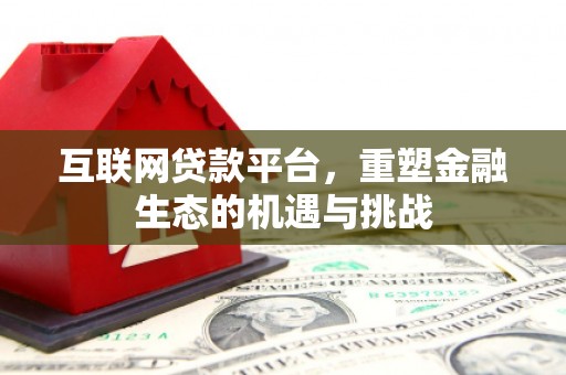 善化互联网贷款平台，重塑金融生态的机遇与挑战