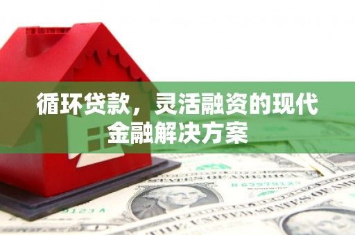 岳塘循环贷款，灵活融资的现代金融解决方案
