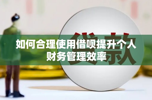 海东如何合理使用借呗提升个人财务管理效率