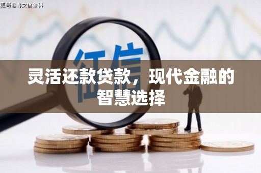 巴塘灵活还款贷款，现代金融的智慧选择