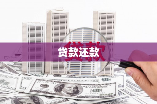 岷县贷款还款