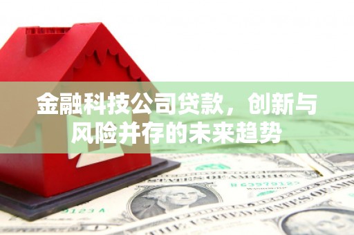银川金融科技公司贷款，创新与风险并存的未来趋势