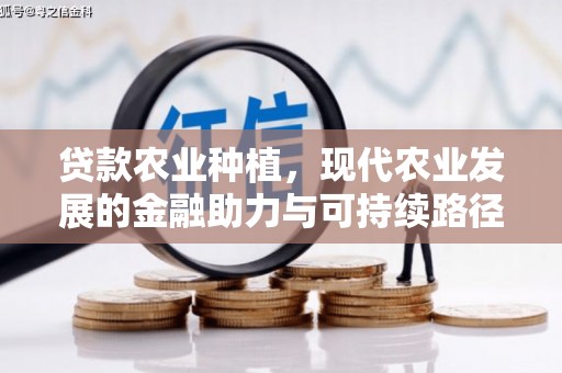 中国香港贷款农业种植，现代农业发展的金融助力与可持续路径