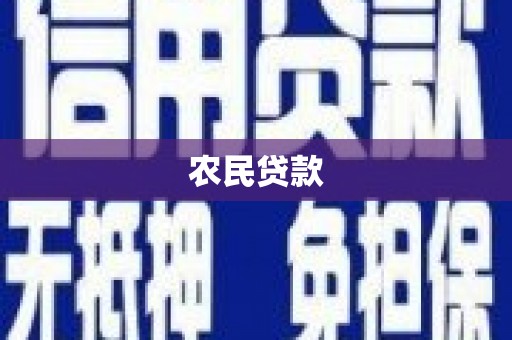 温州农民贷款