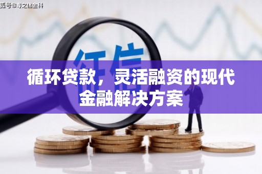 溪口循环贷款，灵活融资的现代金融解决方案