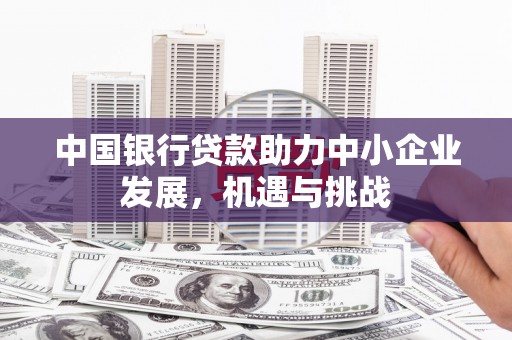 茂县中国银行贷款助力中小企业发展，机遇与挑战