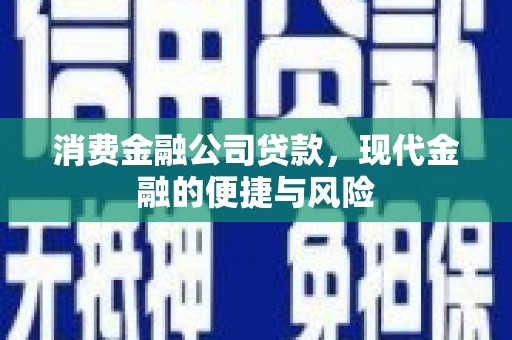 巴里坤消费金融公司贷款，现代金融的便捷与风险