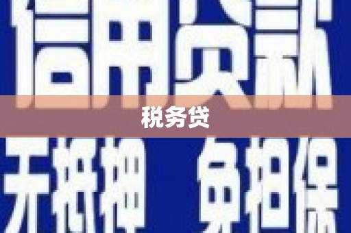 安图税务贷