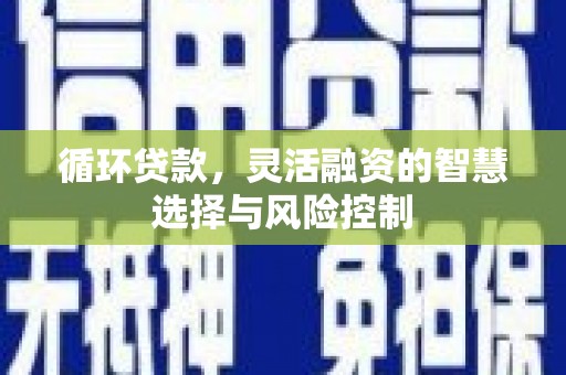 岭东循环贷款，灵活融资的智慧选择与风险控制